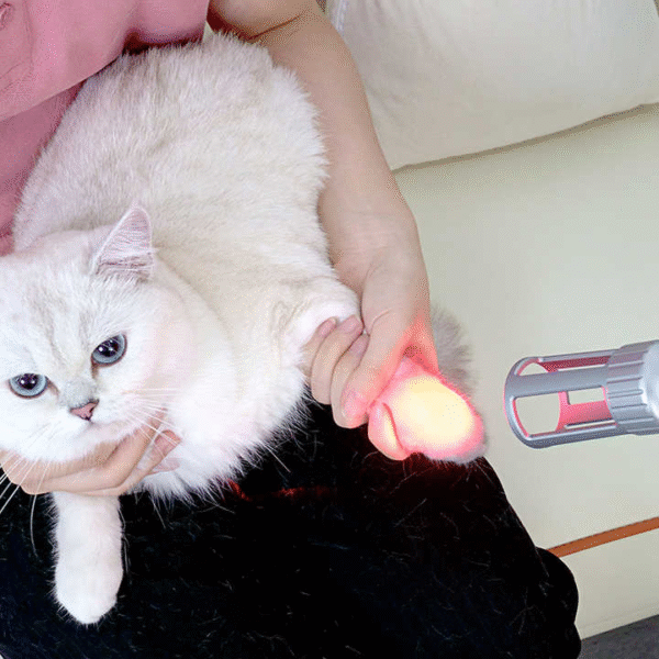 Class 4 Laser Therapy Machine 635nm 810nm 915nm 980nm Rehabilitation Centre for Veterinary Cure