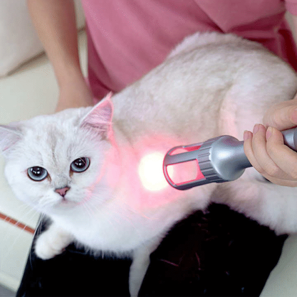 Class 4 Laser Therapy Machine 635nm 810nm 915nm 980nm Rehabilitation Centre for Veterinary Cure